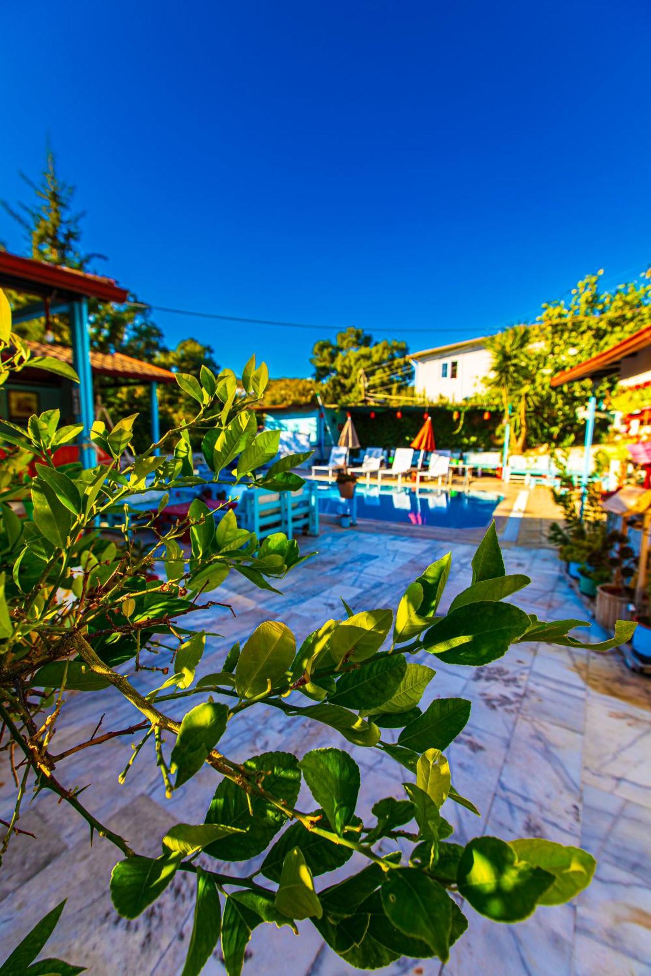 Tuthaliya Hotel Gelemis Экстерьер фото